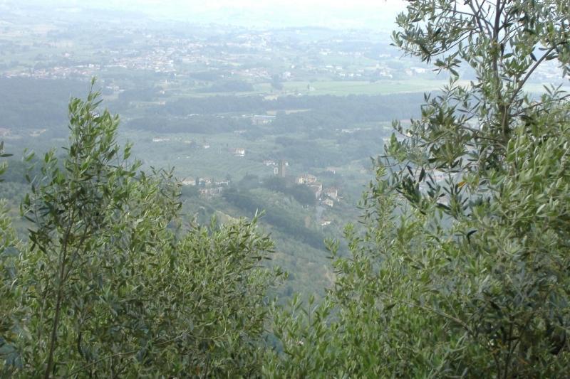 Larciano Podere Calistri מראה חיצוני תמונה